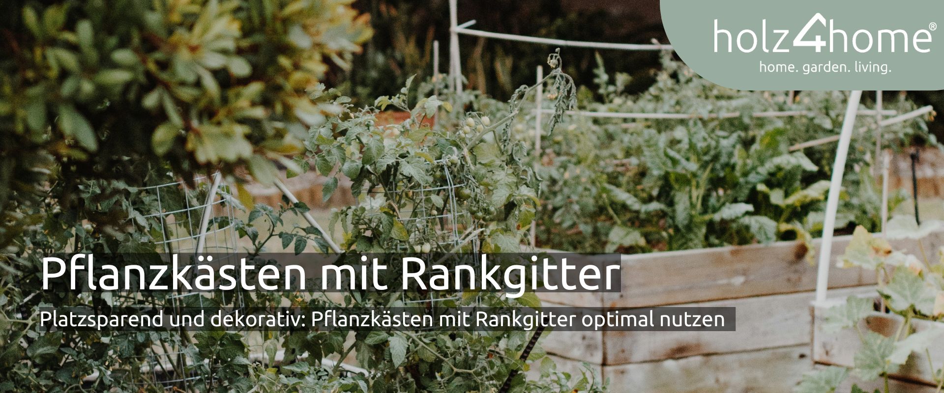 Platzsparend und dekorativ: Pflanzksten mit Rankgitter optimal nutzen