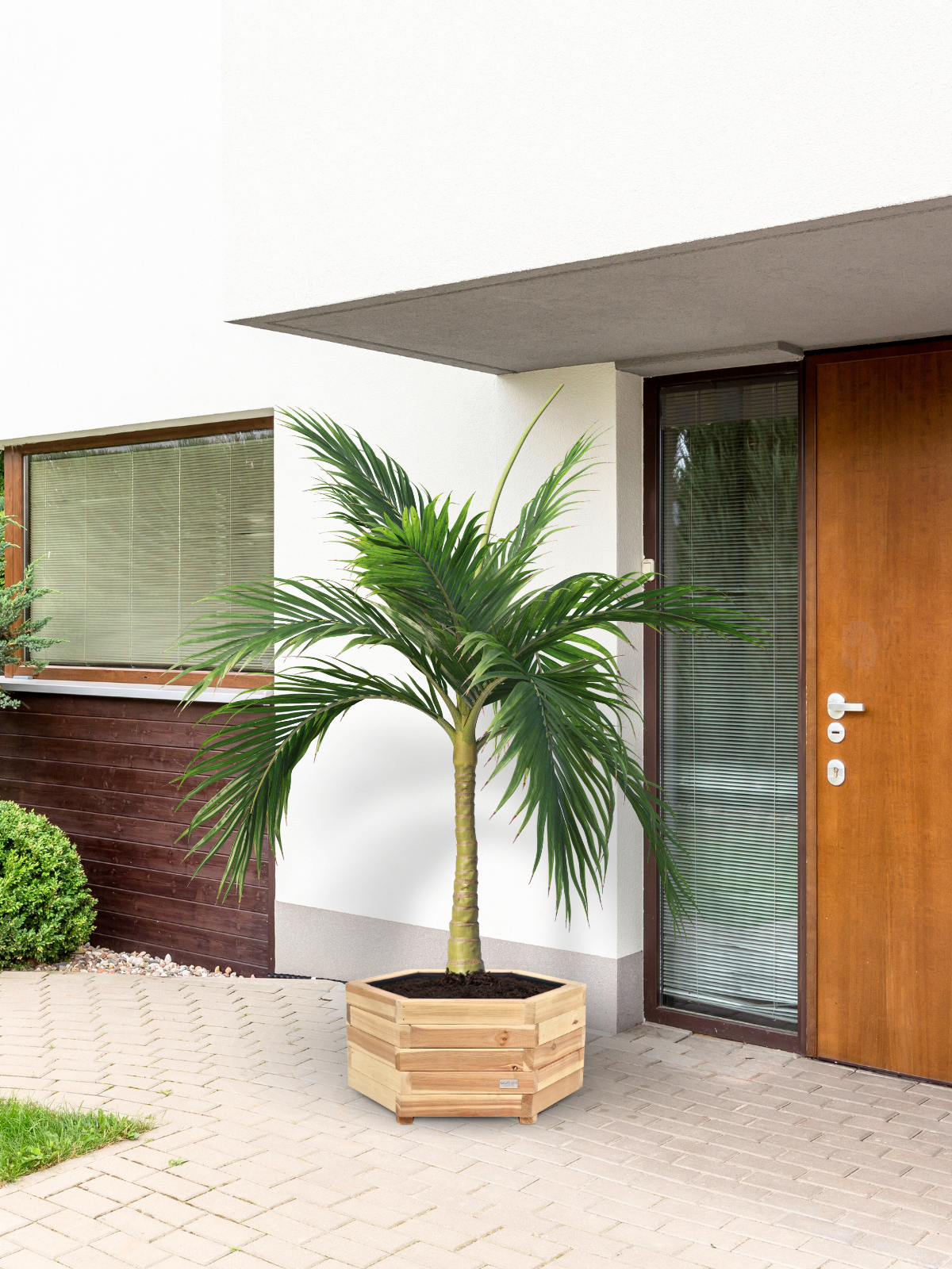 Outdoor Pflanzenkübel M