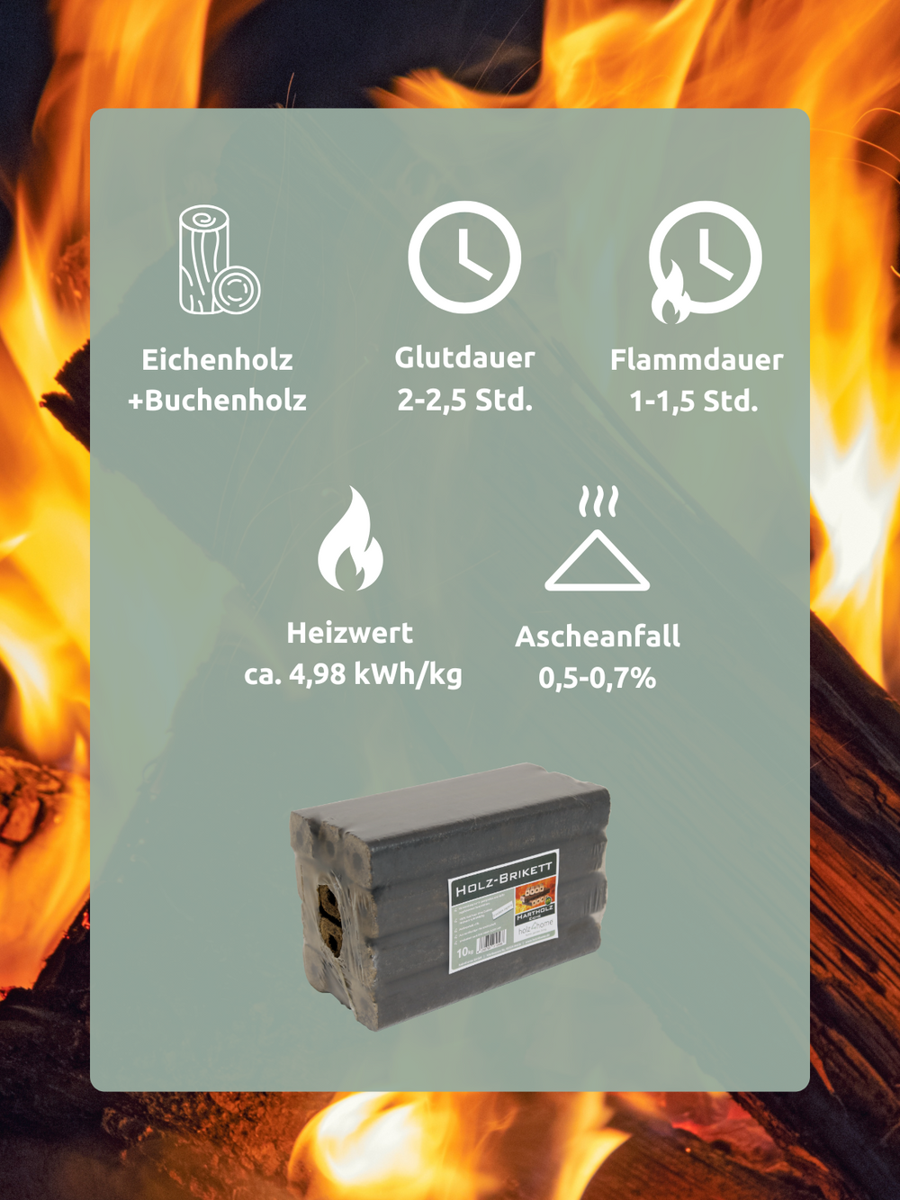 Pini Kay Eichenbriketts 100% ohne Zusätze I 10kg Paket