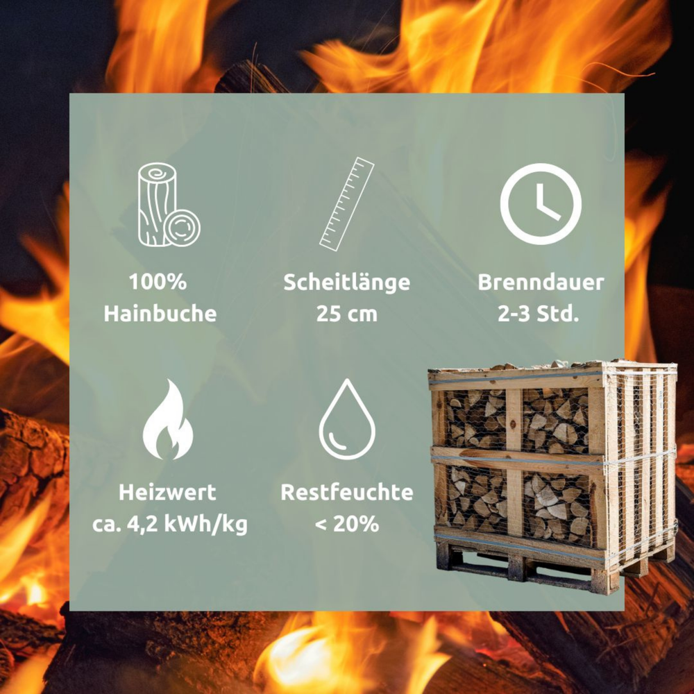 Brennholz Hainbuche 25 cm 1RM/ 1,6 SRM