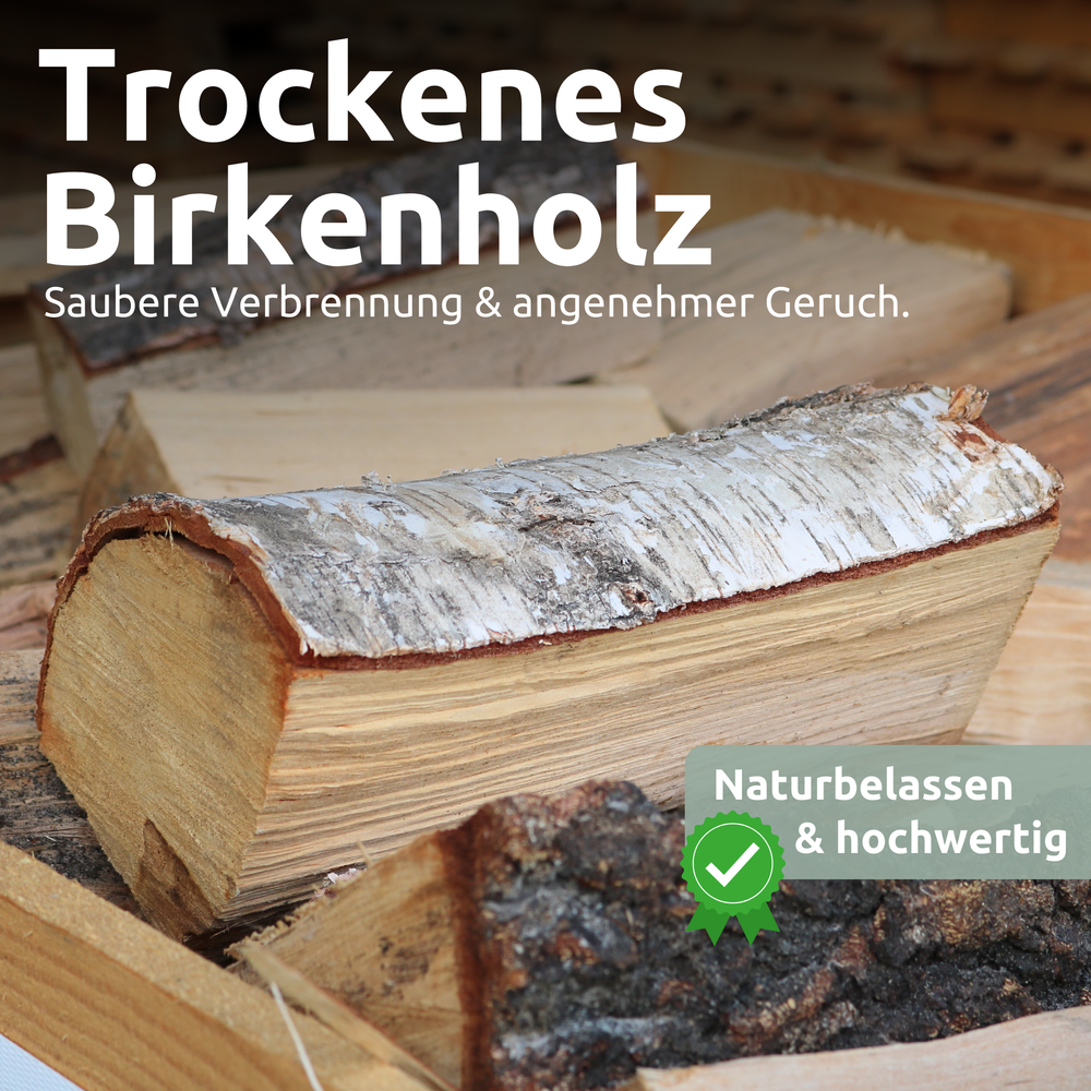 Brennholz Birke Kammergetrocknet 25 cm 1RM/ 1,6 SRM