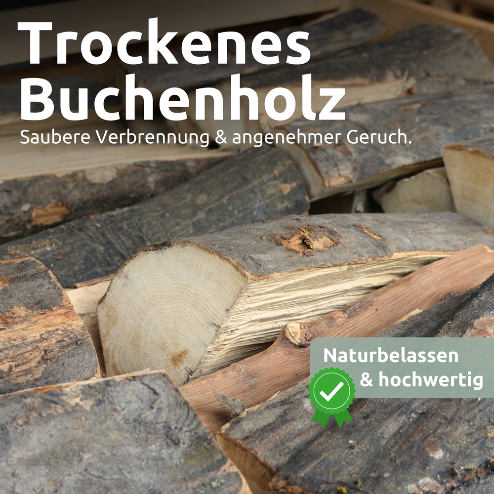 Brennholz Hainbuche 25 cm 1RM/ 1,6 SRM